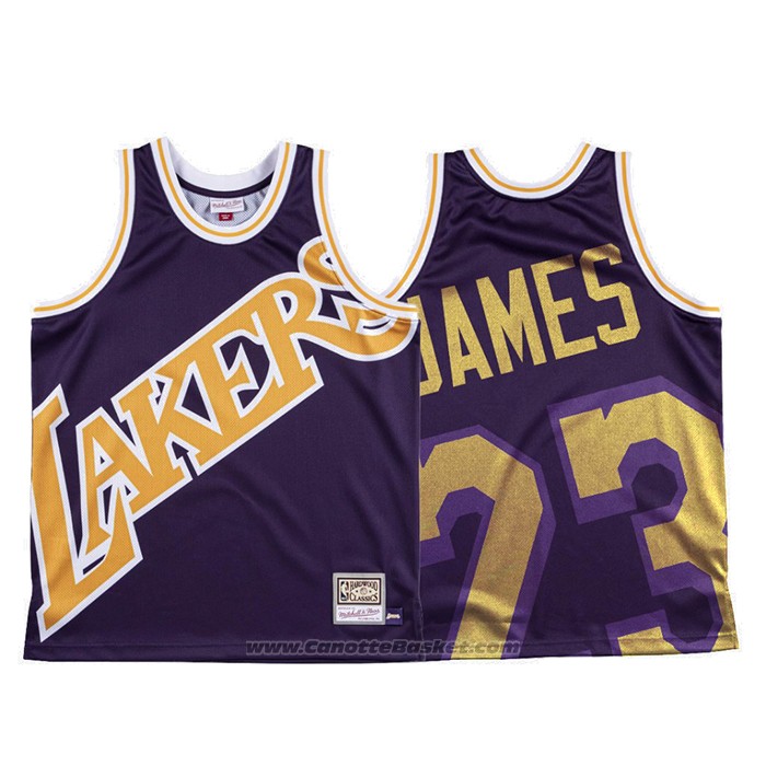 lebron mitchell and ness